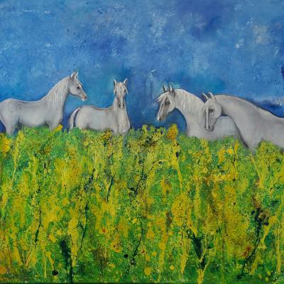 Freysylvia Horses 80x100cm Oel Mischtechnik